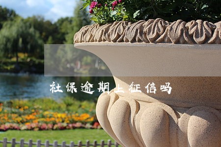社保逾期上征信吗 社保逾期上征信吗