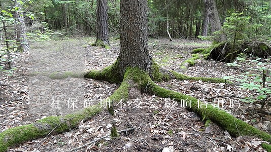 社保逾期不交会影响信用吗 社保逾期不交会影响信用吗