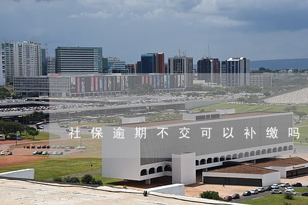 社保逾期不交可以补缴吗 社保逾期不交可以补缴吗