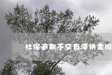 社保逾期不交有滞纳金吗 社保逾期不交有滞纳金吗