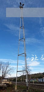社保逾期不可缴纳 社保逾期不可缴纳