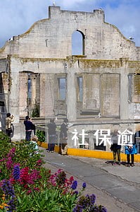 社保逾期不用缴滞纳金了吗 社保逾期不用缴滞纳金了吗