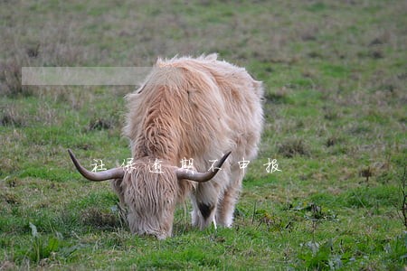 社保逾期不申报 社保逾期不申报
