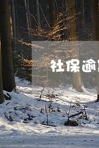 社保逾期两天怎么补交 社保逾期两天怎么补交