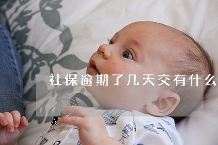 社保逾期了几天交有什么影响 社保逾期了几天交有什么影响