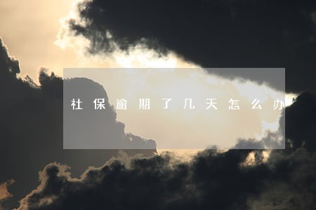 社保逾期了几天怎么办 社保逾期了几天怎么办