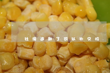 社保逾期了可以补交吗 社保逾期了可以补交吗