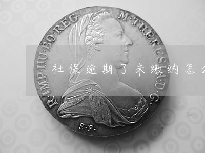 社保逾期了未缴纳怎么处理 社保逾期了未缴纳怎么处理