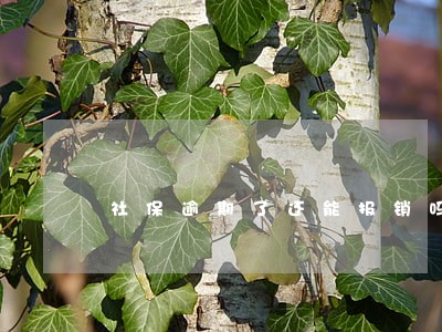 社保逾期了还能报销吗 社保逾期了还能报销吗