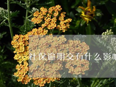 社保逾期交有什么影响