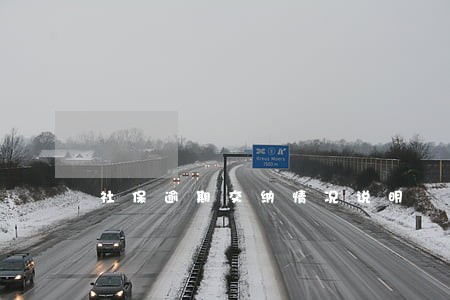 社保逾期交纳情况说明 社保逾期交纳情况说明
