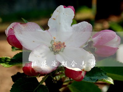 社保逾期会怎样 社保逾期会怎样
