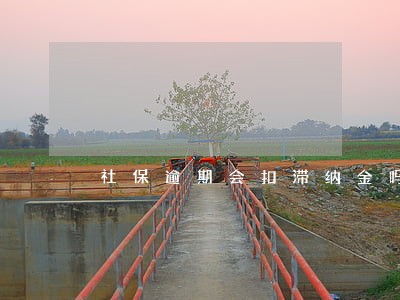 社保逾期会扣滞纳金吗 社保逾期会扣滞纳金吗