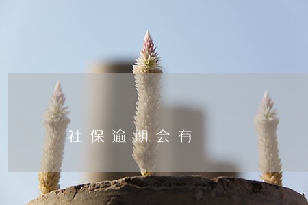 社保逾期会有 社保逾期会有