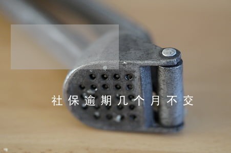 社保逾期几个月不交 社保逾期几个月不交
