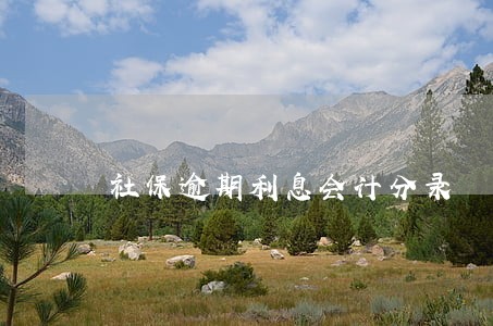 社保逾期利息会计分录 社保逾期利息会计分录