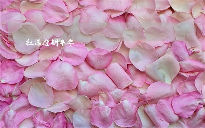 社保逾期半年 社保逾期半年
