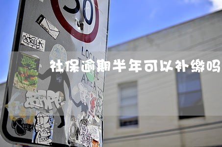 社保逾期半年可以补缴吗 社保逾期半年可以补缴吗