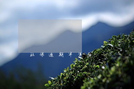 社保逾期半年后 社保逾期半年后