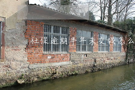 社保逾期半年未交钱怎么办