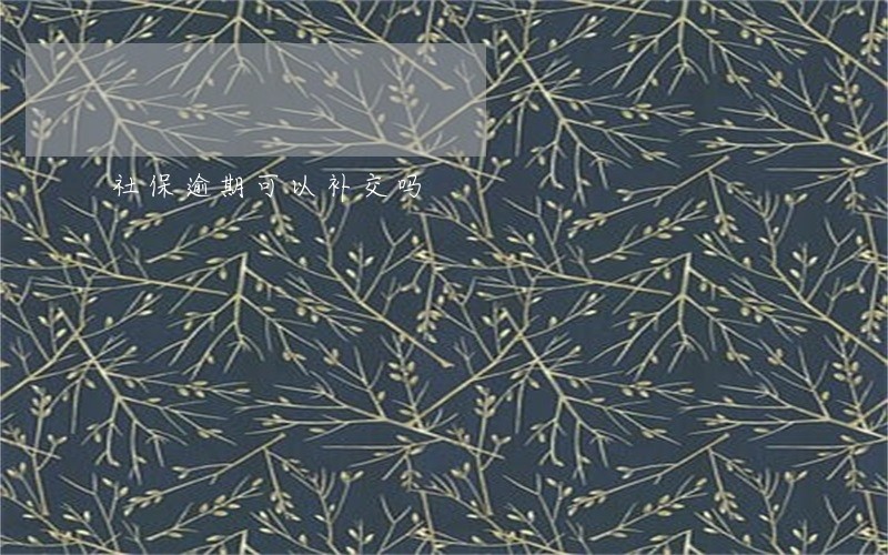 社保逾期可以补交吗 社保逾期可以补交吗
