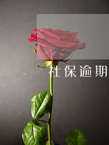 社保逾期可以补吗 社保逾期可以补吗