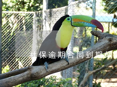 社保逾期合同到期如何改 社保逾期合同到期如何改