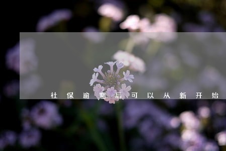 社保逾期后可以从新开始交吗 社保逾期后可以从新开始交吗