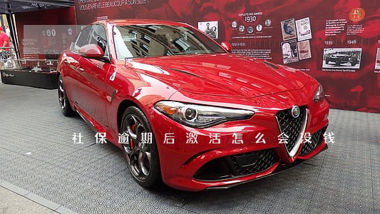 社保逾期后激活怎么会没钱 社保逾期后激活怎么会没钱
