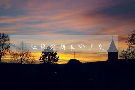 社保逾期在哪里交 社保逾期在哪里交
