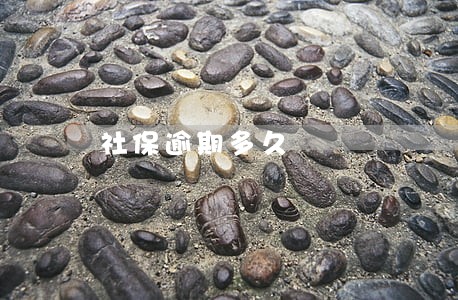 社保逾期多久 社保逾期多久