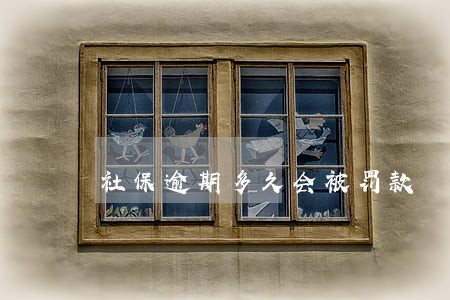 社保逾期多久会被罚款 社保逾期多久会被罚款