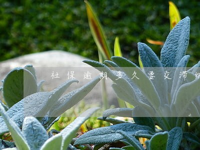 社保逾期多久要交滞纳金 社保逾期多久要交滞纳金