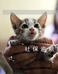社保逾期如何补交 社保逾期如何补交