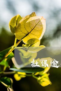 社保逾期对申请工伤有影响吗 社保逾期对申请工伤有影响吗