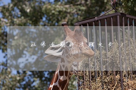 社保逾期将清理欠费 社保逾期将清理欠费