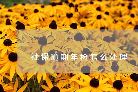 社保逾期年检怎么处理 社保逾期年检怎么处理