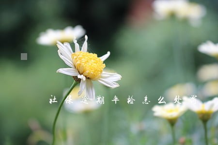 社保逾期年检怎么处罚 社保逾期年检怎么处罚