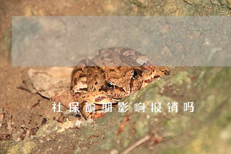 社保逾期影响报销吗 社保逾期影响报销吗