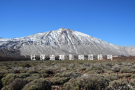 社保逾期影响招标吗 社保逾期影响招标吗
