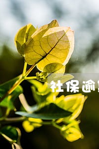 社保逾期忘交费 社保逾期忘交费