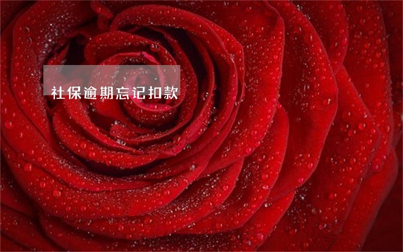 社保逾期忘记扣款