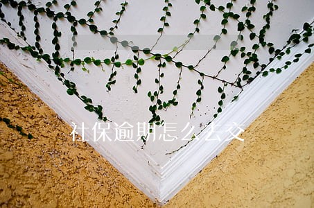 社保逾期怎么去交 社保逾期怎么去交