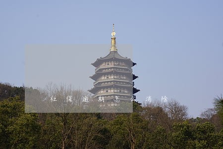 社保逾期怎么消除 社保逾期怎么消除