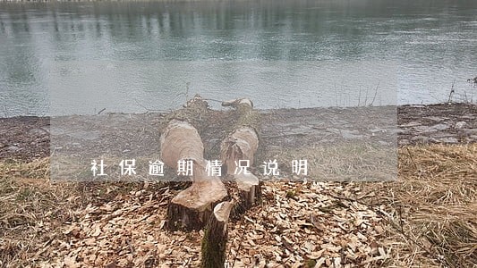 社保逾期情况说明 社保逾期情况说明