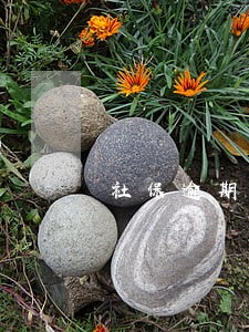 社保逾期扣款影响生育险 社保逾期扣款影响生育险