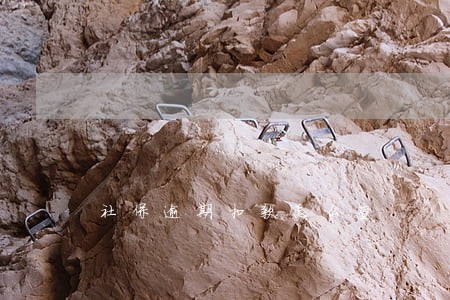 社保逾期扣款怎么查 社保逾期扣款怎么查