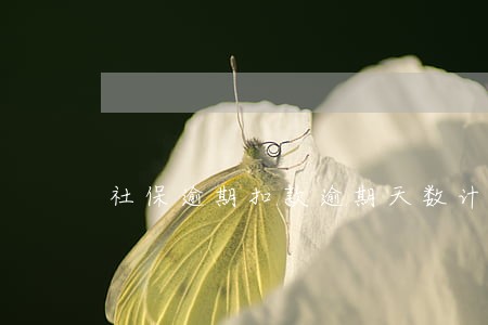 社保逾期扣款逾期天数计算 社保逾期扣款逾期天数计算