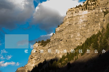 社保逾期扣谁的钱怎么办 社保逾期扣谁的钱怎么办