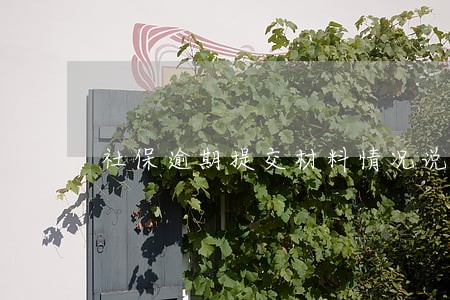 社保逾期提交材料情况说明 社保逾期提交材料情况说明